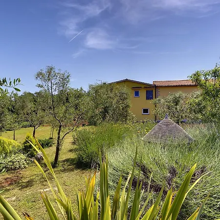 Martina * Premantura